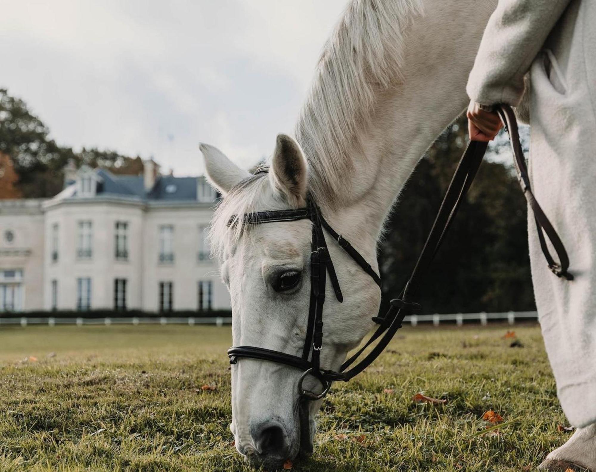 Hotel Demeures De Campagne Domaine De Maffliers - Paris Val-D'Oise Екстериор снимка